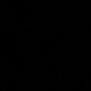 Meet your Posher, Daileny